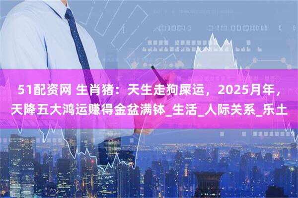 51配资网 生肖猪：天生走狗屎运，2025月年，天降五大鸿运赚得金盆满钵_生活_人际关系_乐土