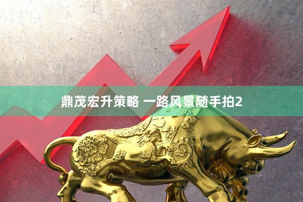 鼎茂宏升策略 一路风景随手拍2