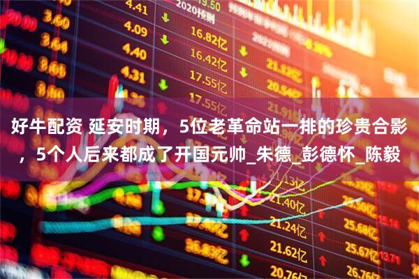 好牛配资 延安时期，5位老革命站一排的珍贵合影，5个人后来都成了开国元帅_朱德_彭德怀_陈毅