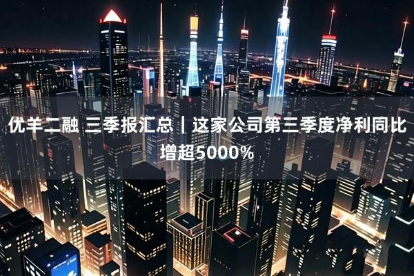 优羊二融 三季报汇总｜这家公司第三季度净利同比增超5000%